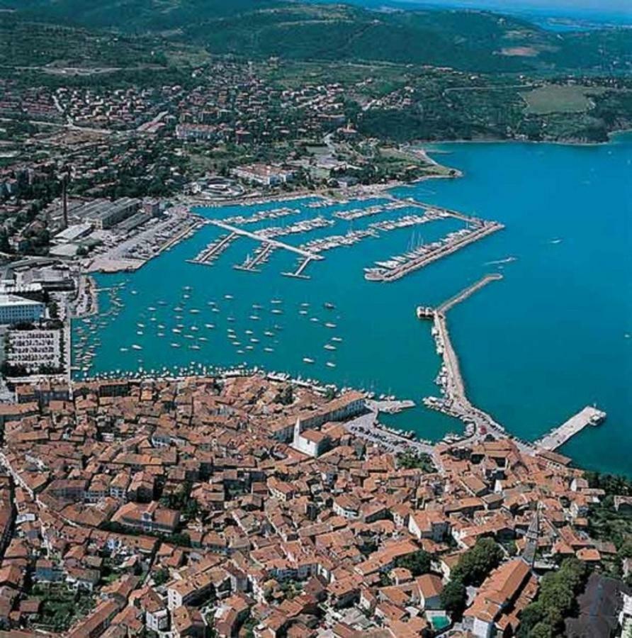 Vila Magenta, Terrace, Free Parking Izola Eksteriør billede